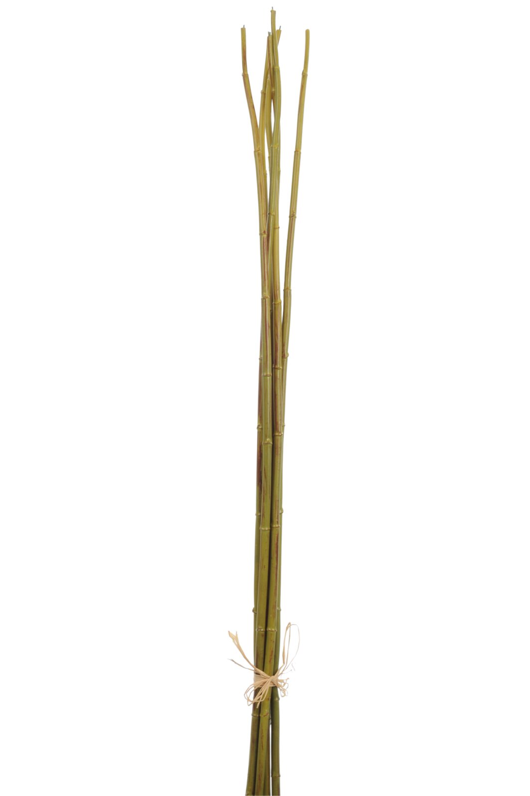 Kunstbloem Kooder Kunststof Groen