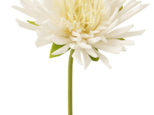 Kunstbloem Prura Polyester Wit
