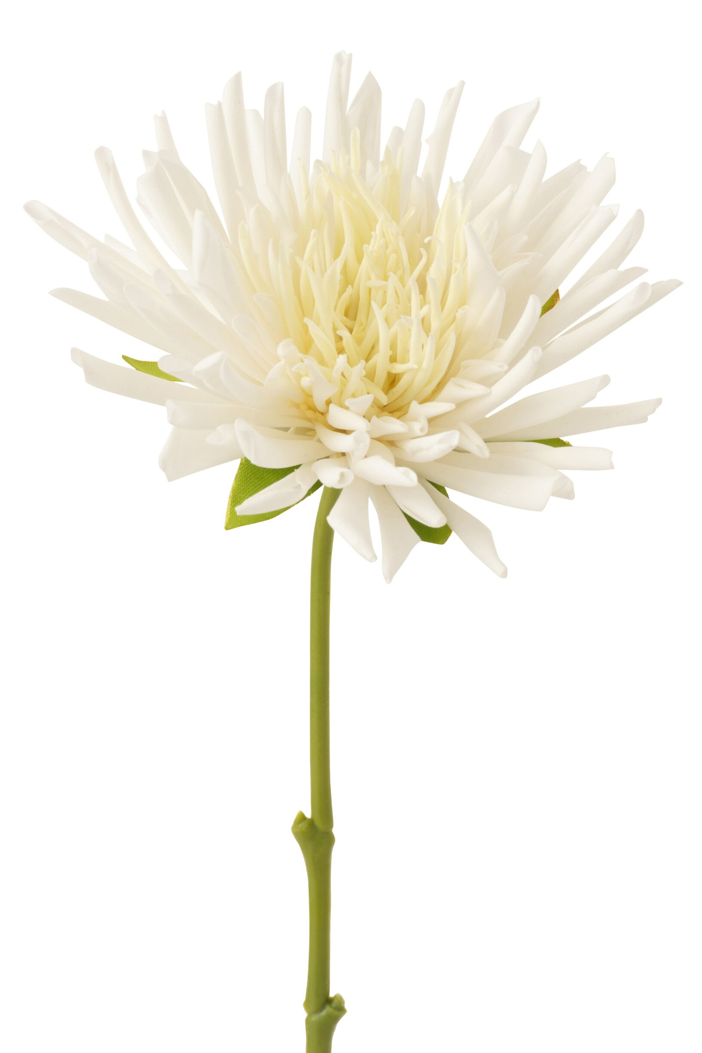 Kunstbloem Prura Polyester Wit