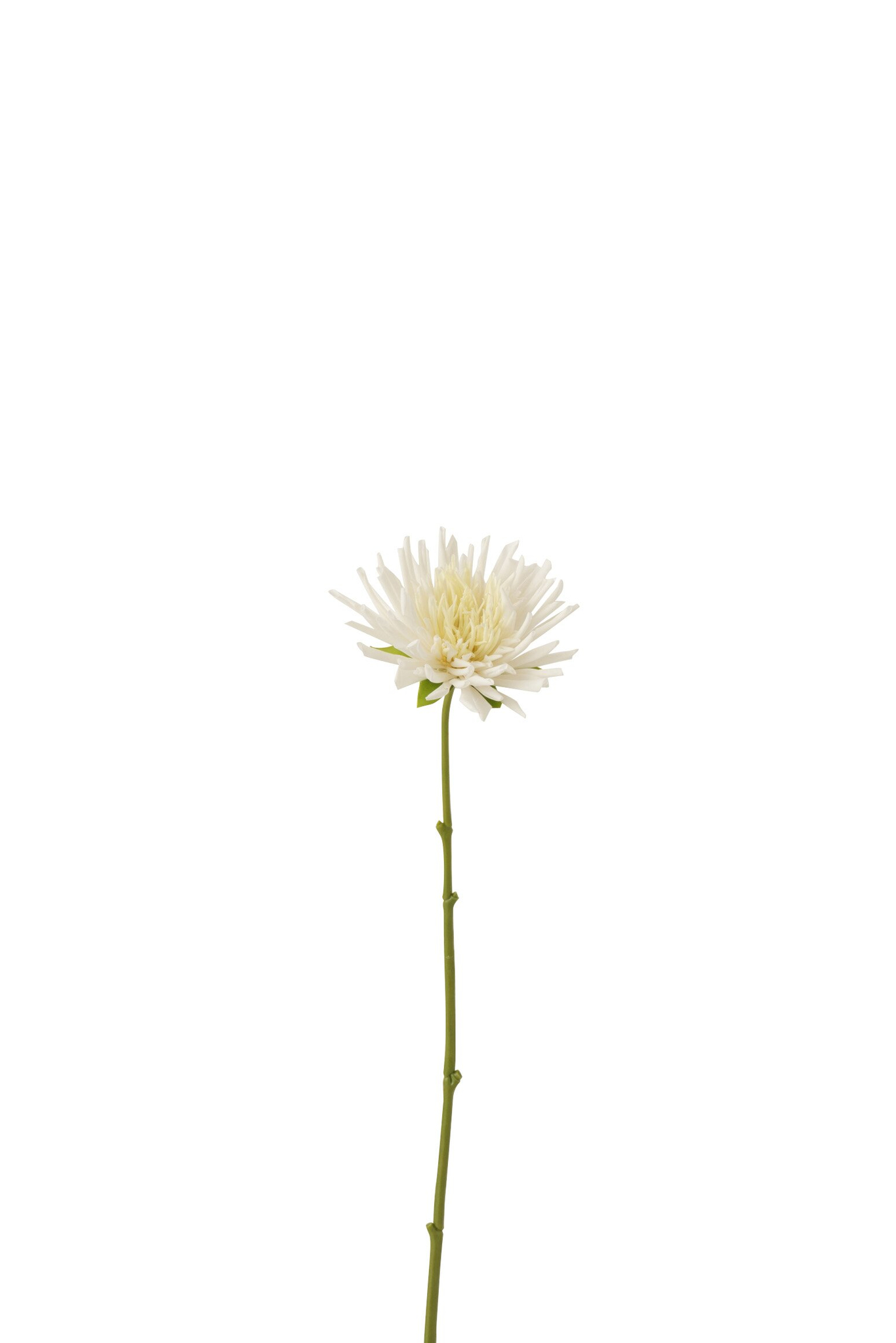 Kunstbloem Prura Polyester Wit - Afbeelding 2