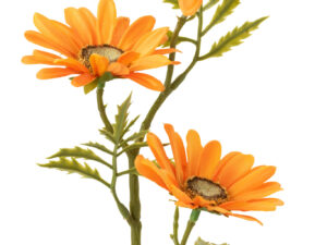 Kunstbloem Paaldira Polyester Oranje