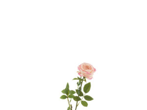 Kunstbloem Vaundol Stof Roze