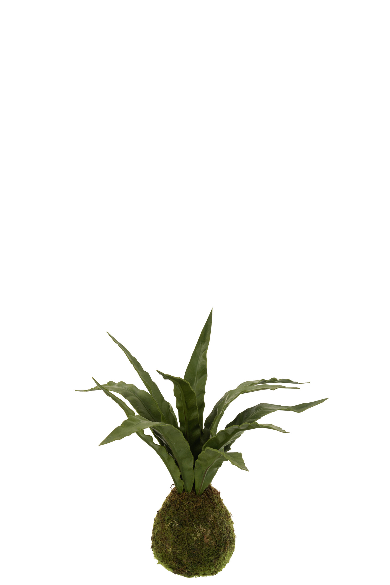 Decoratiebal Taanello Polyurethaan Groen - Afbeelding 3