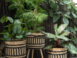 Pot Kloobena Polyethyleen Groen H70 cm