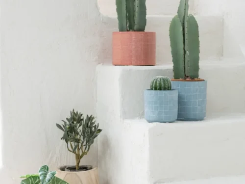 Bloempot Assisi keramiek oranje met cactus, compacte ronde pot voor een warme, natuurlijke uitstraling