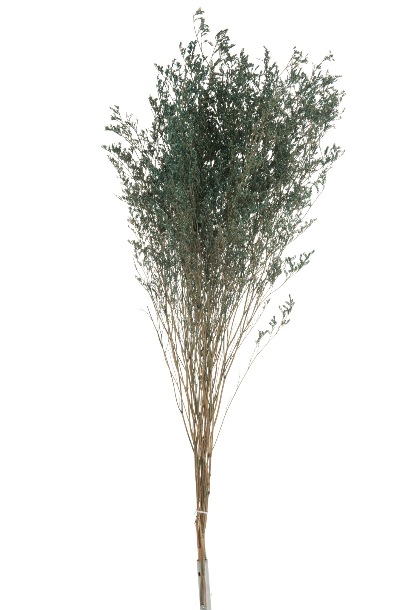 Droogbloemen Hemmund Gras Groen - Afbeelding 3