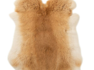 Decoratiefiguur Baullea Bont Bruin