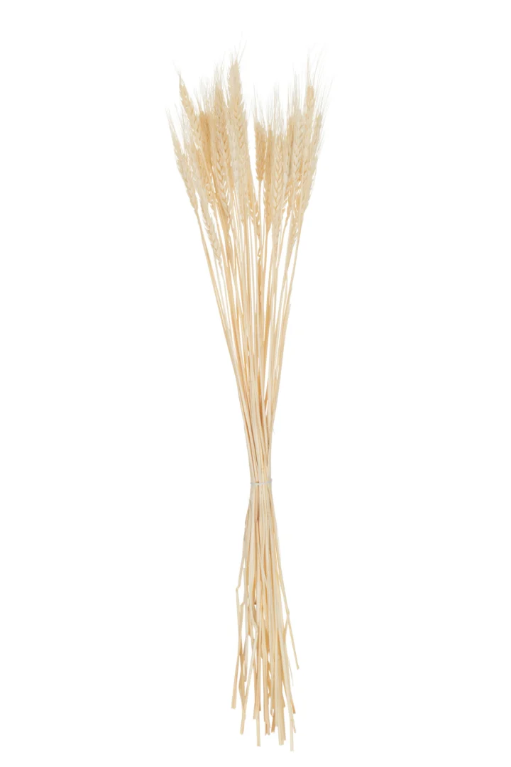 Droogbloemen Faadel Gras Naturel - Afbeelding 3