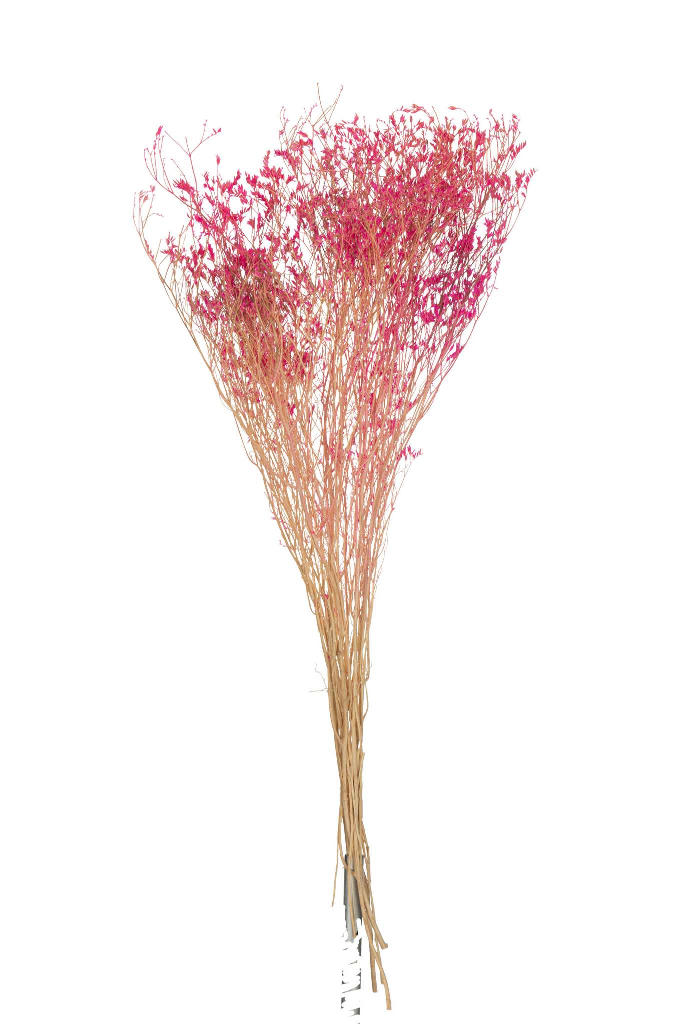Droogbloemen Klunnas Gras Roze - Afbeelding 2