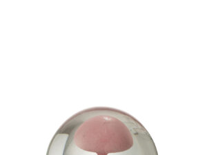 Presse-papier Pruskona Glas Roze