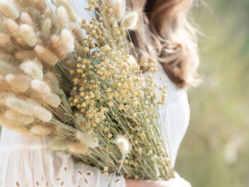 Droogbloemen Hooris Gras Naturel bundel met zachte bunnytail pluimen in naturel tinten