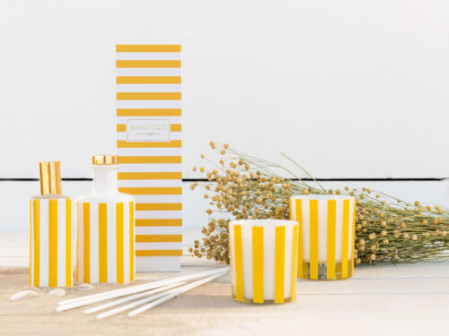 Droogbloemen Stelly Gras Geel in slanke bundel, warm geel en naturel, decoratief voor hoge vaas of interieuraccent