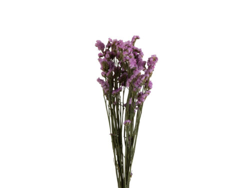 Droogbloemen Heilen Gras Paars, luchtige bundel met paarse bloemetjes en lange groene stelen voor in een vaas