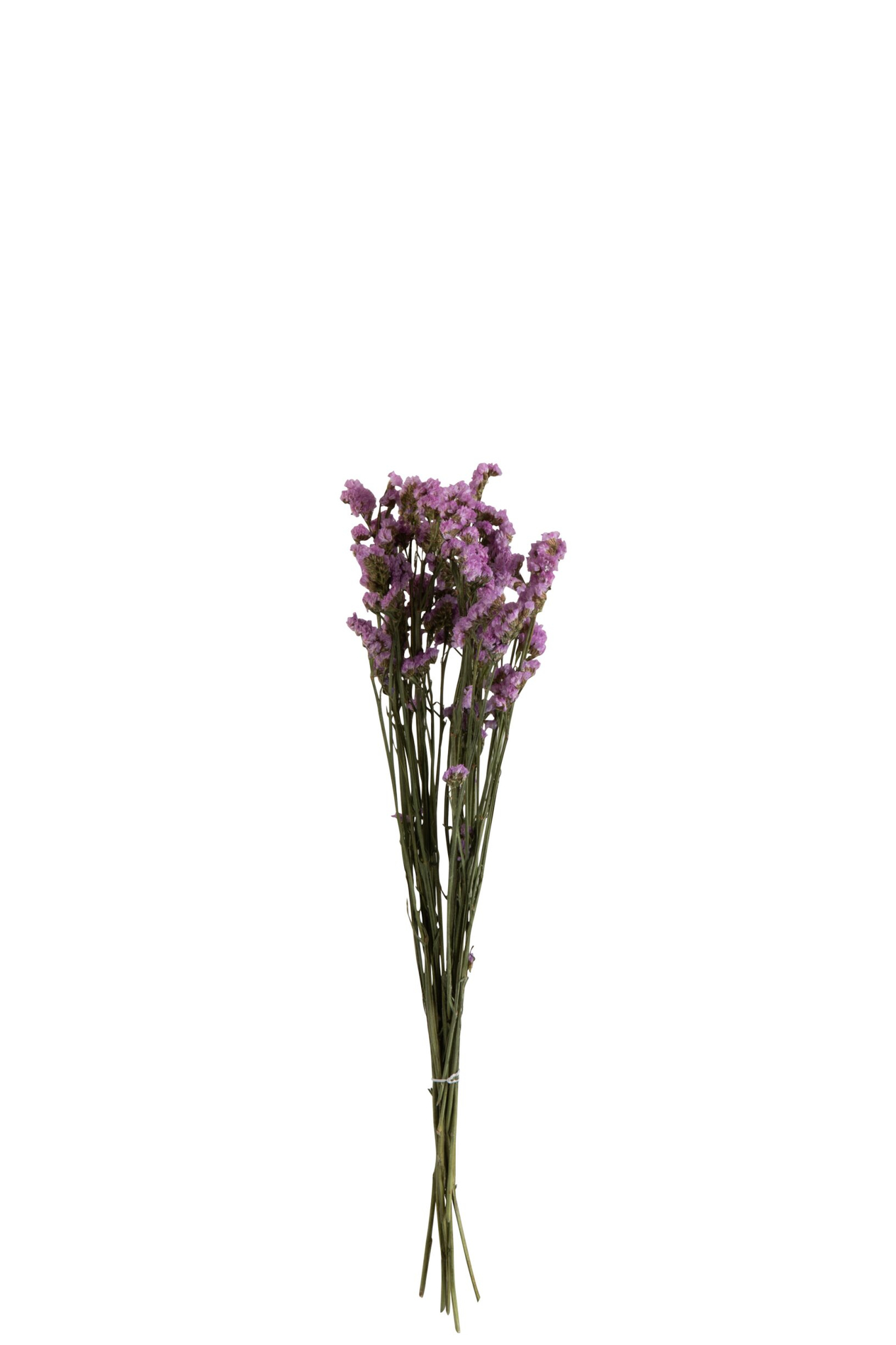 Droogbloemen Heilen Gras Paars