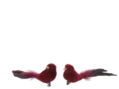 Decoratiefiguur Bomane veren rood, set van 2 vogelclips met zachte pluimen en glanzende details