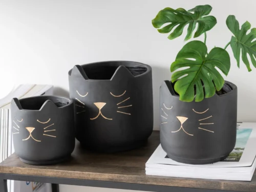 Bloempot Slooskane Beton Zwart H17 cm met kattengezicht en groene plant op houten tafel