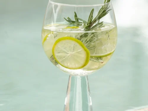 Drinkglas Gennone transparant glas met slanke voet, gevuld met citroen en rozemarijn