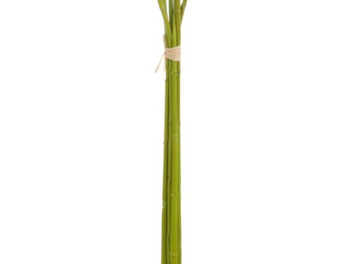 Kunstbloem Skelo Bamboe Groen, set van 6 bamboestokken voor een natuurlijke, decoratieve sfeer