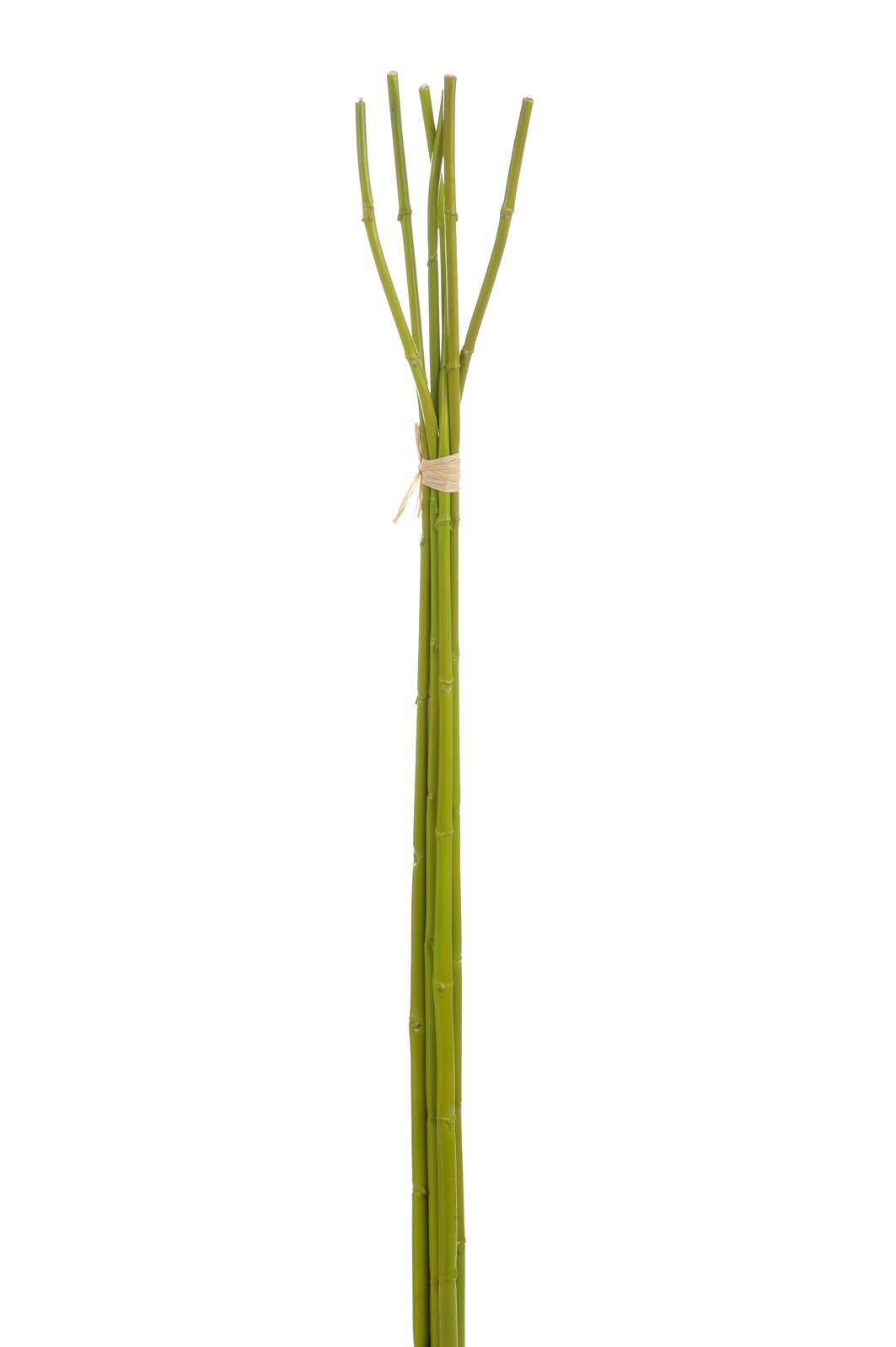 Kunstbloem Skelo Bamboe Groen