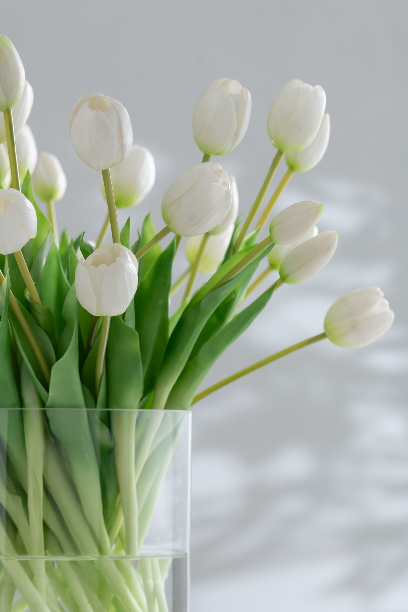 Kunstbloem Daavena Kunstleer Wit - Afbeelding 2
