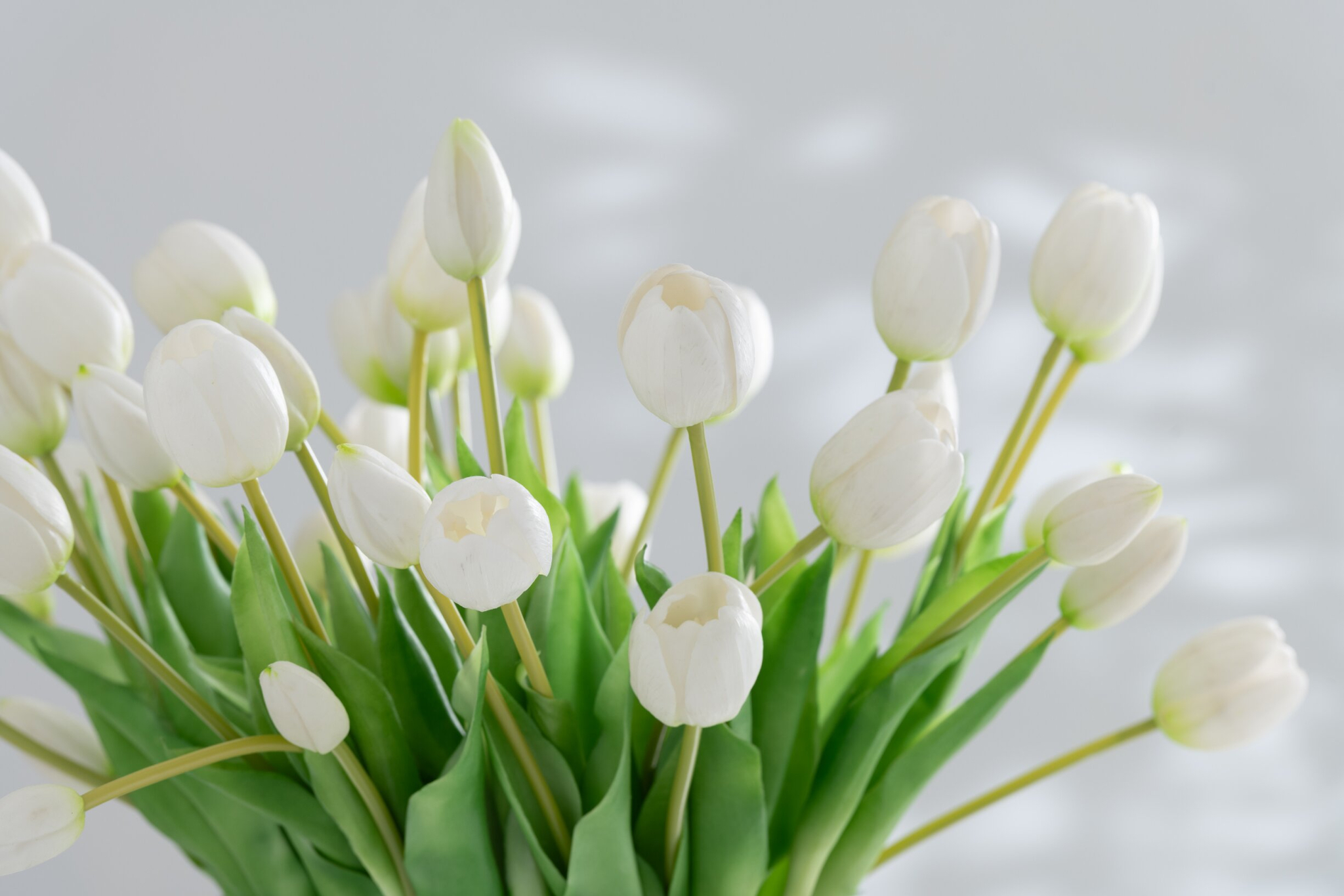 Kunstbloem Daavena Kunstleer Wit - Afbeelding 3