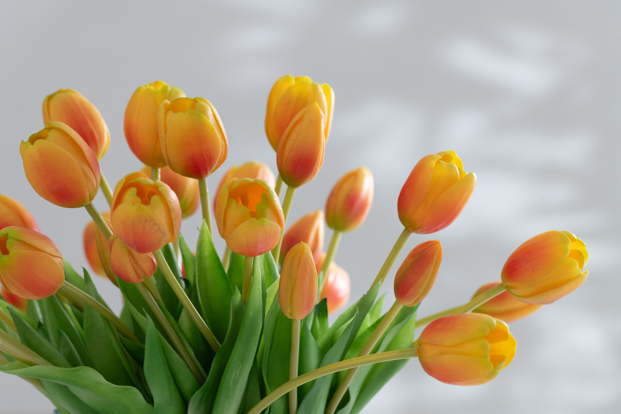 Kunstbloem Karlstad Polyurethaan Oranje - Afbeelding 2
