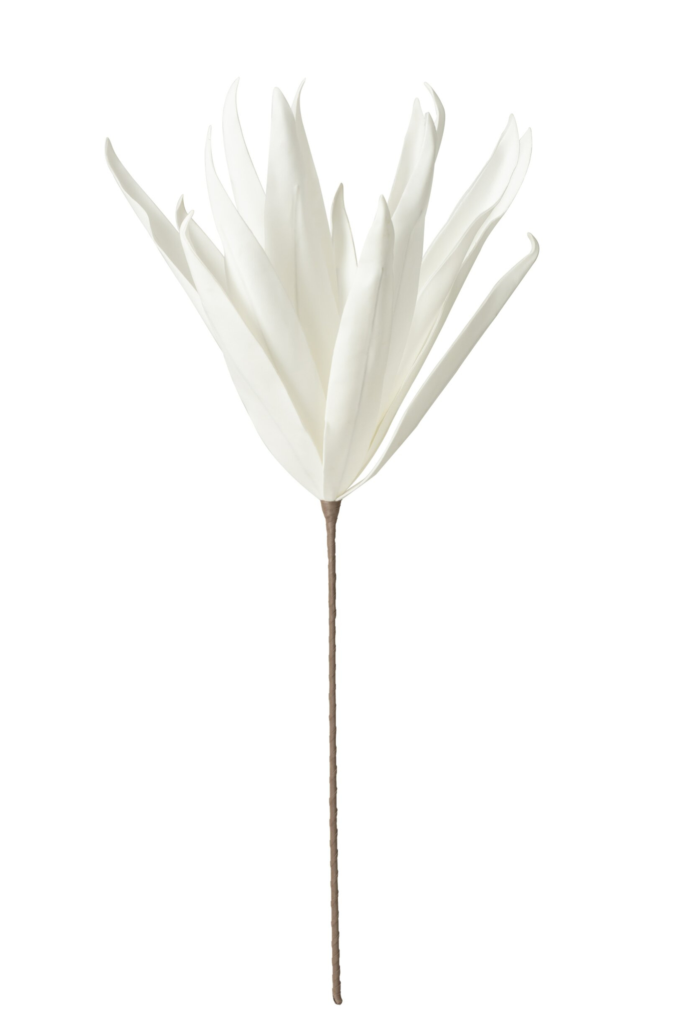 Decoratie Roossira EVA Wit - Afbeelding 2