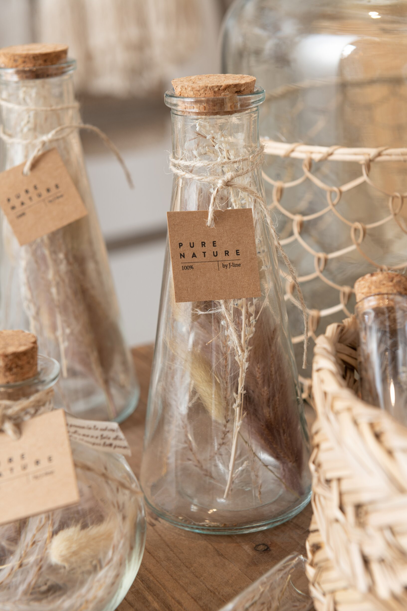 Droogbloemen Stolea Glas Naturel - Set van 2
