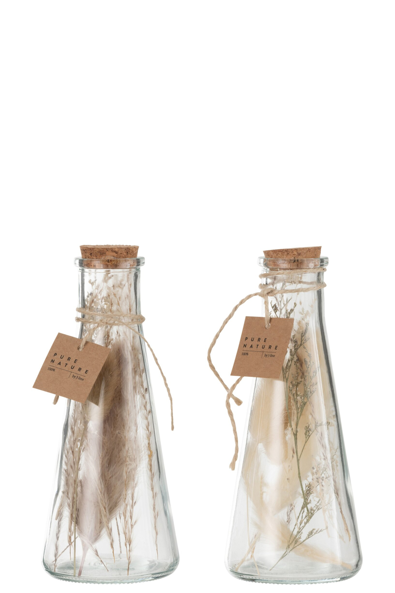 Droogbloemen Stolea Glas Naturel - Set van 2 - Afbeelding 3