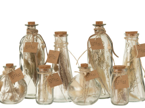 Droogbloemen Faanero Glas Naturel set van 2, decoratieve flessen met kurk en touw in rustige naturel tinten