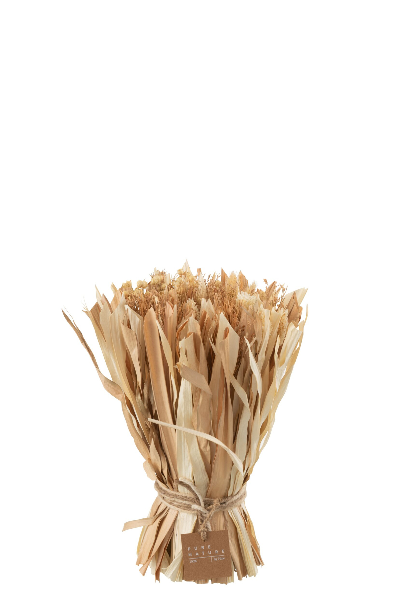 Droogbloemen Ferun Gras Naturel - Afbeelding 4