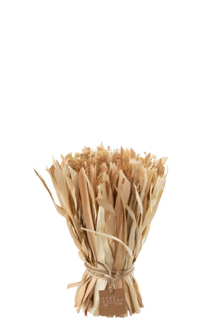 Droogbloemen Ferun Gras Naturel - Afbeelding 4