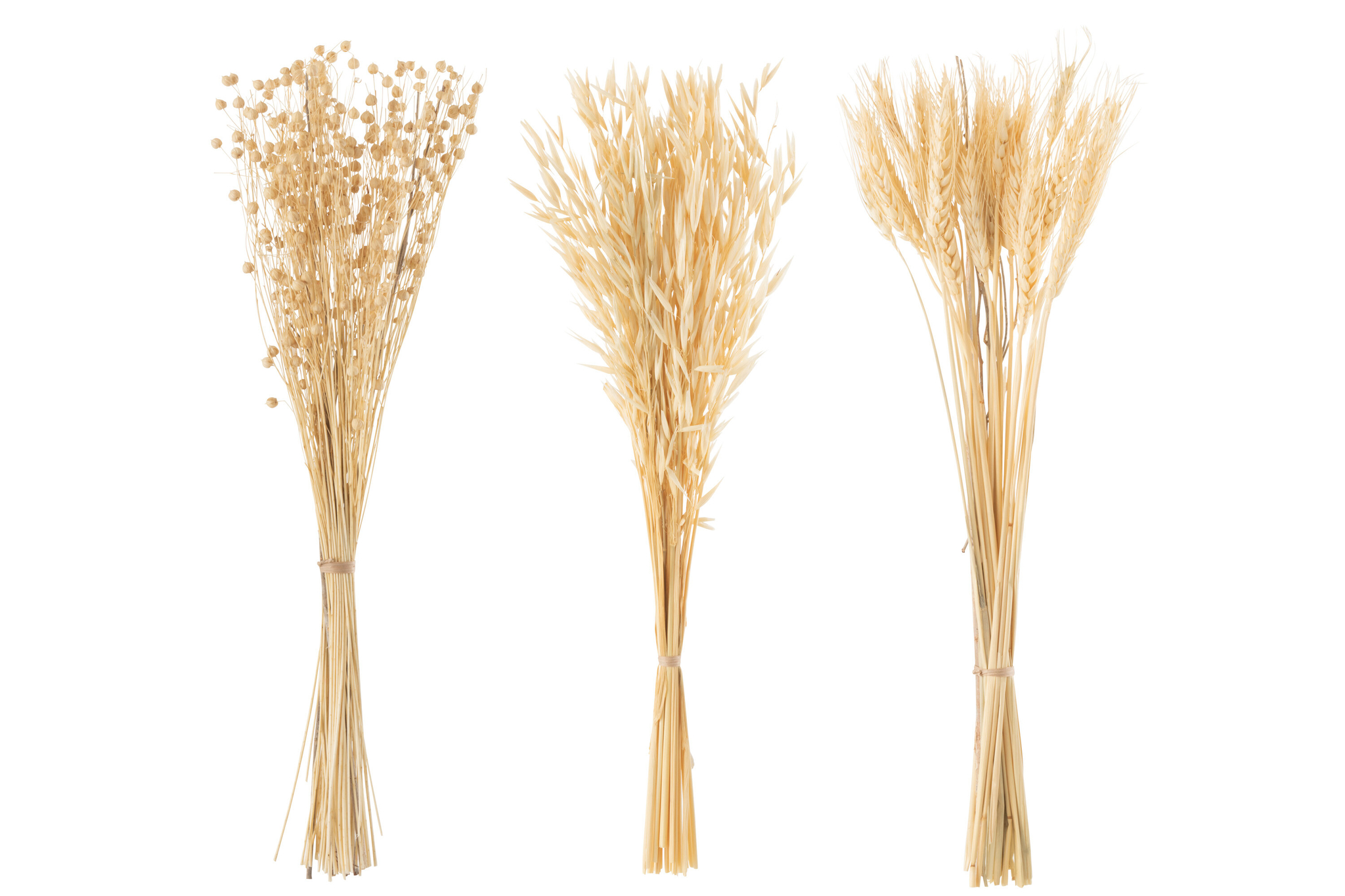 Droogbloemen Lahaina Gras Naturel - Set van 3
