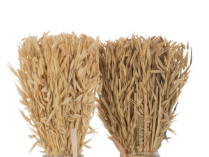 Vaas Looldino Gras Naturel H31 cm - Set van 2