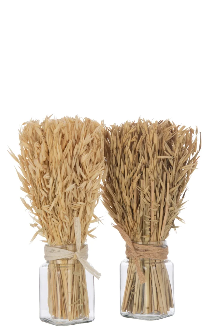 Vaas Looldino Gras Naturel set van 2, glazen vazen met gedroogde Avana-grasbundels en naturel uitstraling