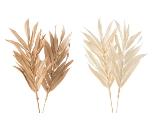 Droogbloemen Pollang Gras naturel, set van 2 in beige tinten, luchtige decoratieve takken
