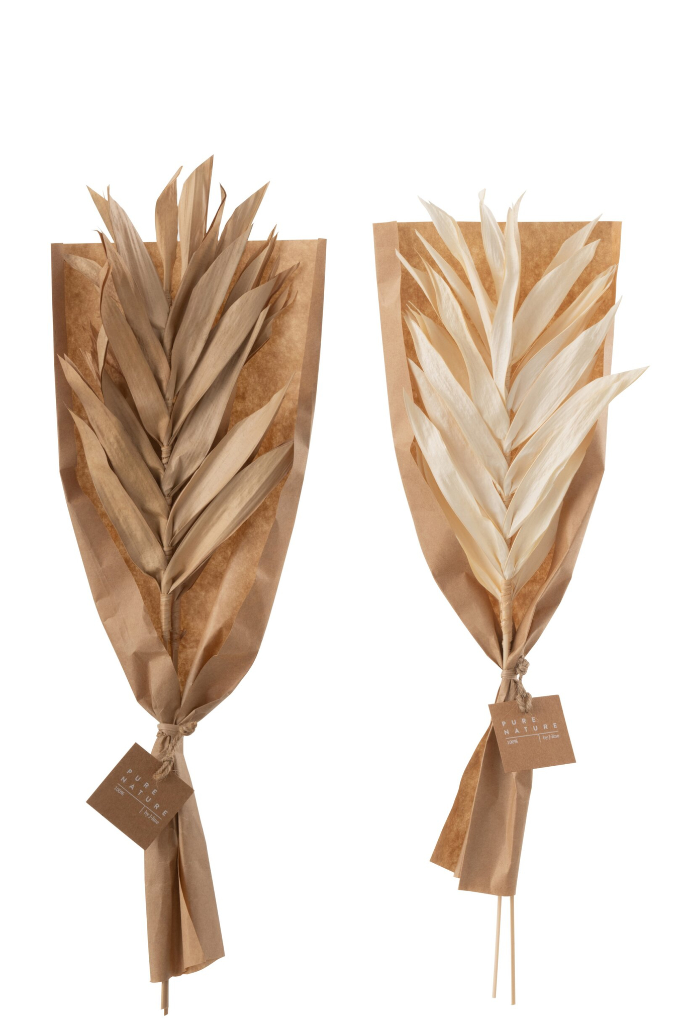 Droogbloemen Pollang Gras Naturel - Set van 2 - Afbeelding 6