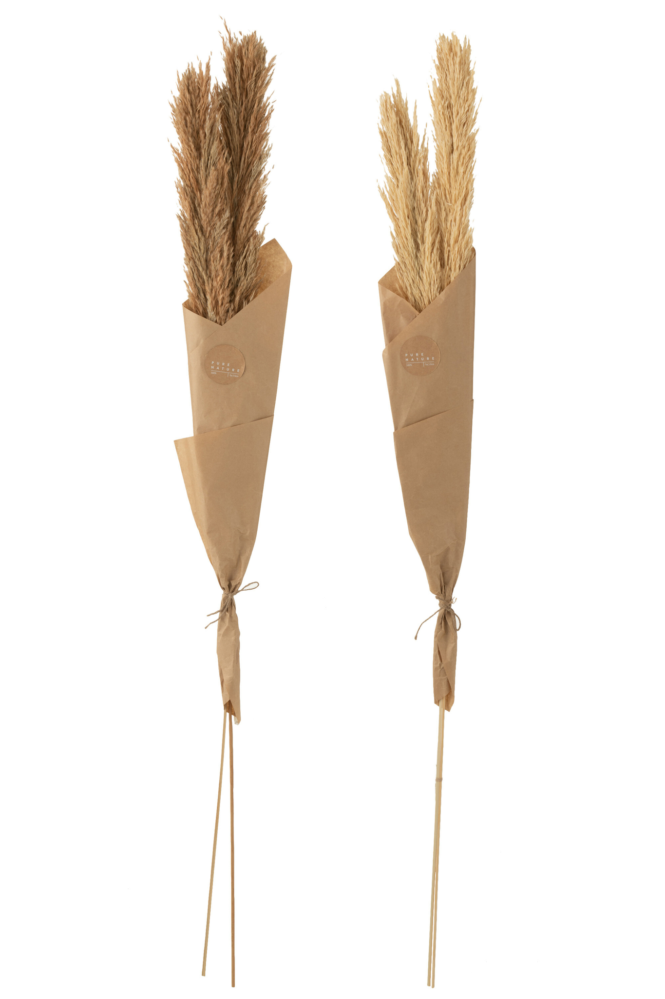 Droogbloemen Graube Gras Naturel - Set van 2 - Afbeelding 2