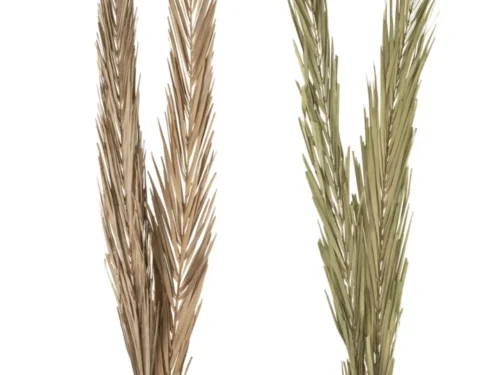 Kunstbloem Semmia Gras Groen set van 2, lange decoratieve bladeren in naturel groen en bruin