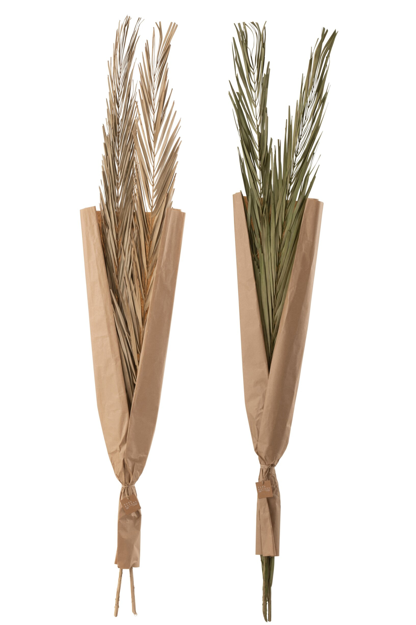 Kunstbloem Semmia Gras Groen - Set van 2 - Afbeelding 2