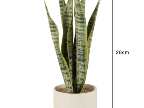 Pot Kausti PVC groen met sansevieria, slank hoog ontwerp, 28 cm hoog en 8 cm breed