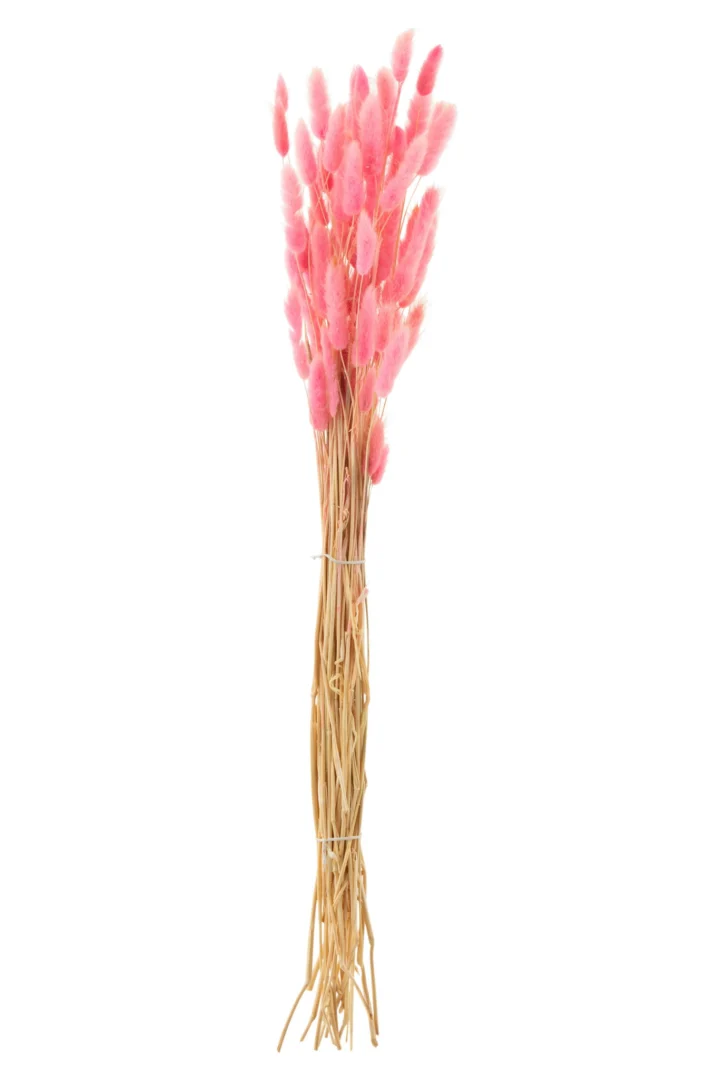 Droogbloemen Peentond Roze bundel met zachte roze Bunnytail pluimen en natuurlijke, speelse uitstraling