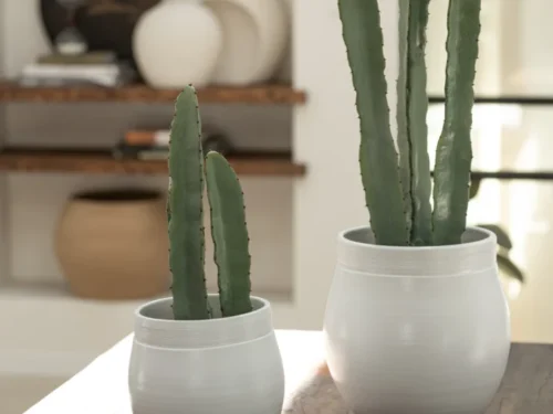 Kunstbloem Zeidan Schuim Groen set van 3, driedelige cactus in witte potten