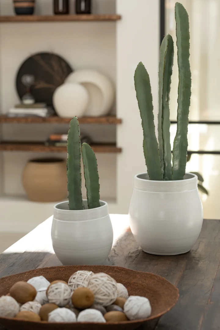 Kunstbloem Zeidan Schuim Groen set van 3, driedelige cactus in witte potten