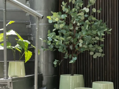 Groene Zausaro keramiek bloempot H13 cm met glanzende ronde vorm, gevuld met plantje op trapleuning