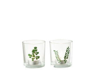 Waxinelichthouder Raubond Glas Meerkleurig - Set van 2