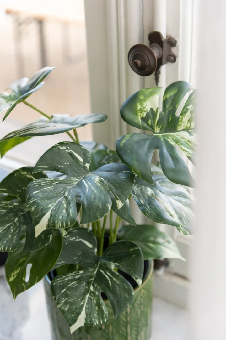 Kunstplant Vieva Monstera in groene pot, 43 cm, met realistische bladeren en frisse uitstraling