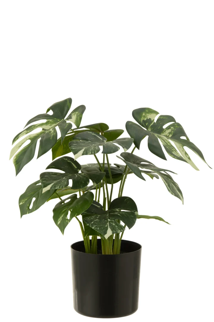 Kunstplant Vieva Polyethyleen Groen H43 cm - Afbeelding 3