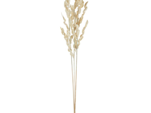 Droogbloemen Breinto Gras Naturel, hoge slanke takken in zachte naturel tint voor een rustige interieurlook
