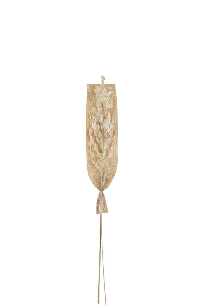 Droogbloemen Breinto Gras Naturel - Afbeelding 2